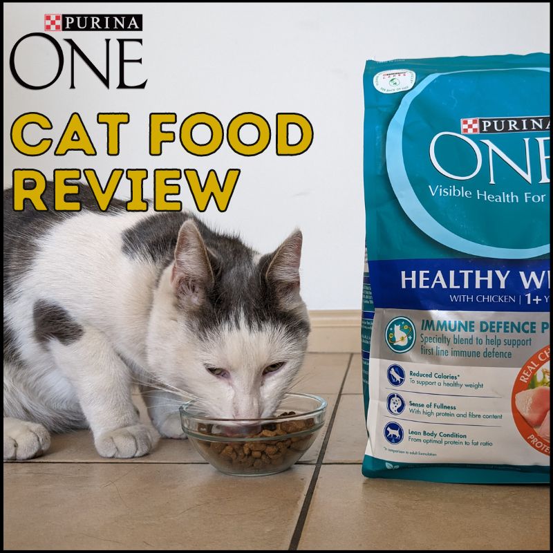 Purina One cat food review