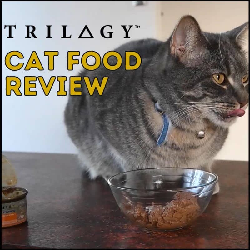 Trilogy Cat Food Review