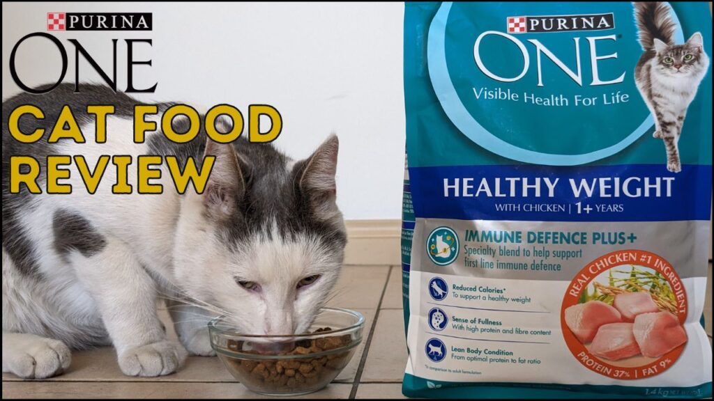 Purina One cat food review