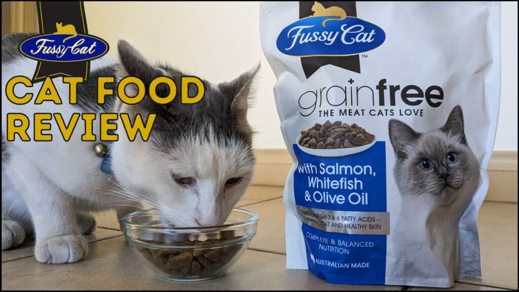 Fussy Cat food review