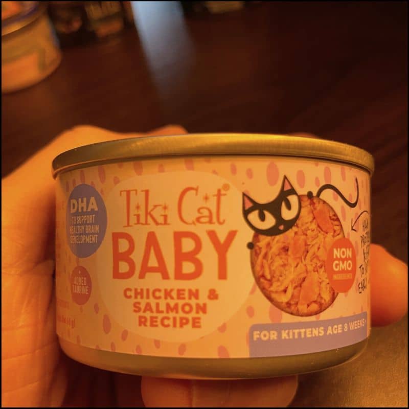 Tiki Cat Baby cat food