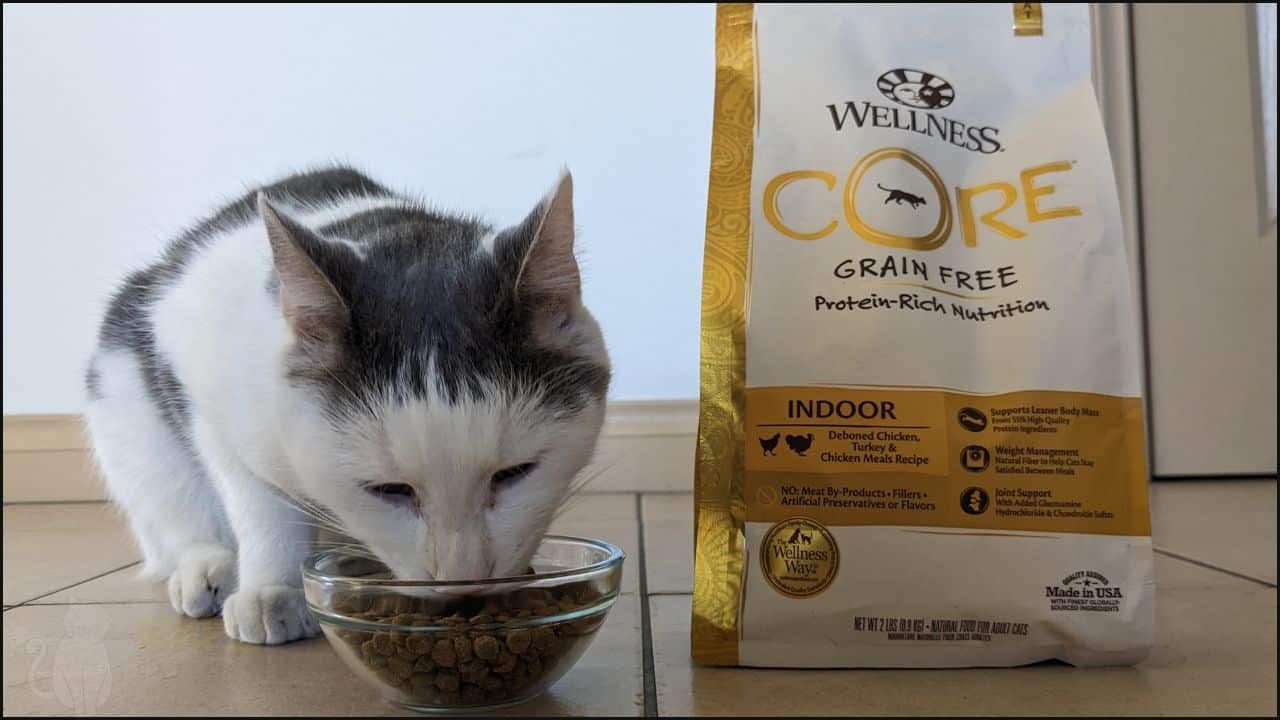 Honest Wellness Core Cat Food Review 2023