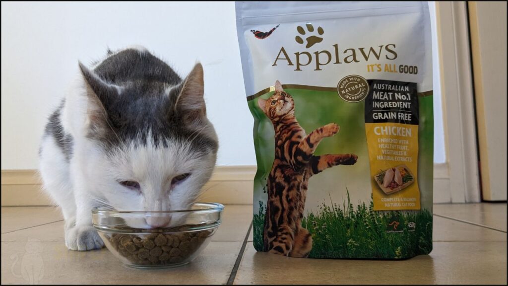 Our cat Toby tries Applaws dry cat food