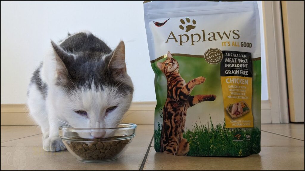 Our cat trying Applaws chicken dry cat food