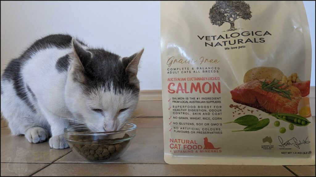 Our cat Toby tries Vetalogica Naturals dry cat food