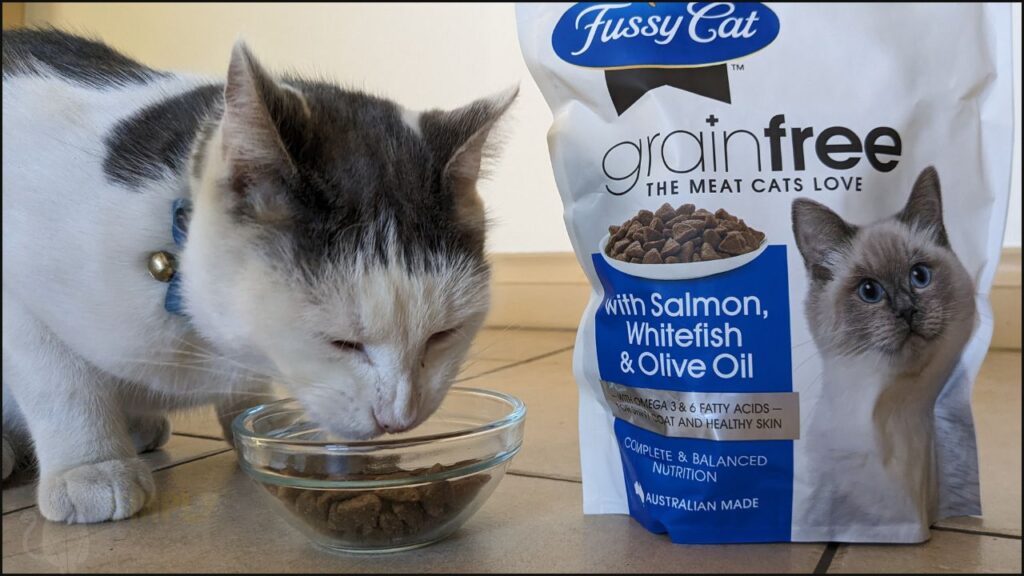 Our cat enjoys Fussy Cat grain-free with salmon, whitefish & olive oil