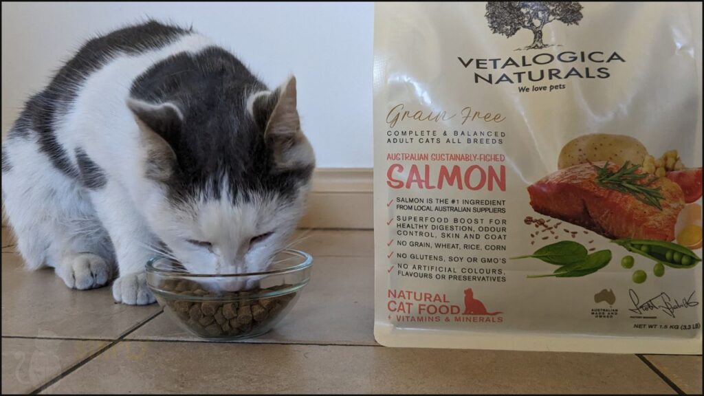 Our cat Toby tries Vetalogica Naturals dry cat food