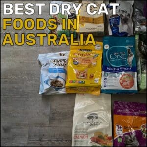 Best Dry Cat Foods in Australia