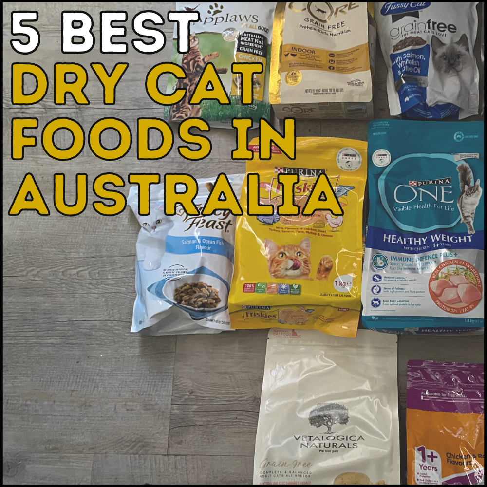 3 Best Dry Cat Foods in Australia for Top Health in 2023