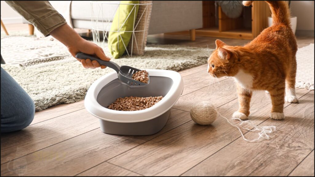 Cleaning a litter box
