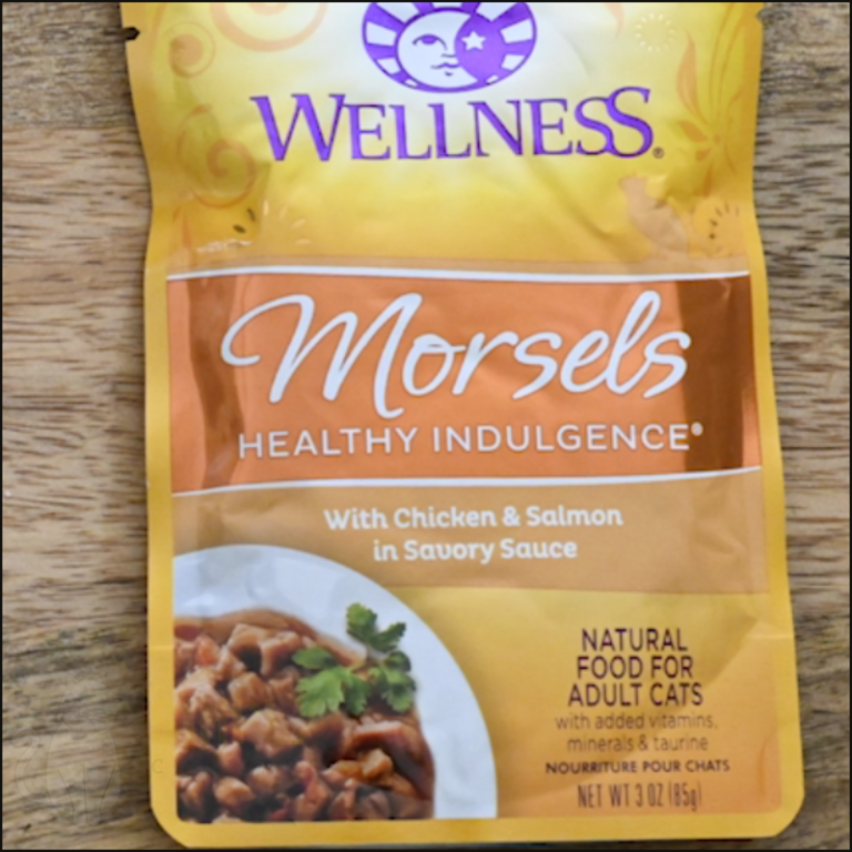 Honest Wellness Core Cat Food Review 2023