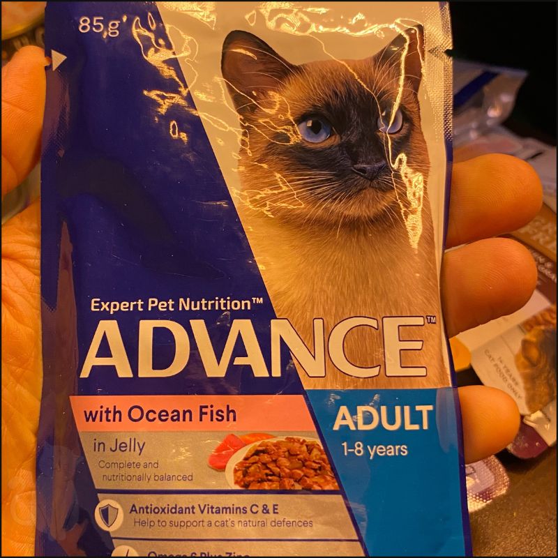Close up of Advance wet cat food
