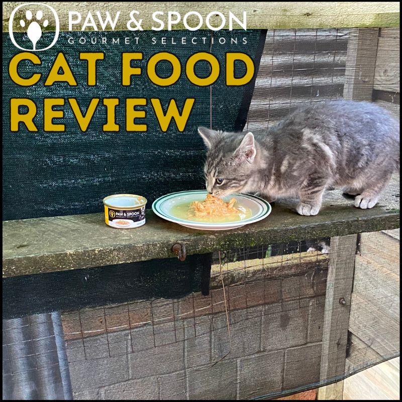 Honest Paw and Spoon Cat Food Review