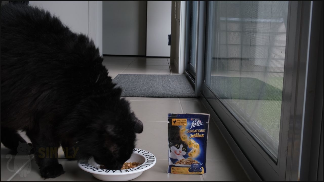 Honest Felix Cat Food Review in 2023: Is it Safe & Healthy?