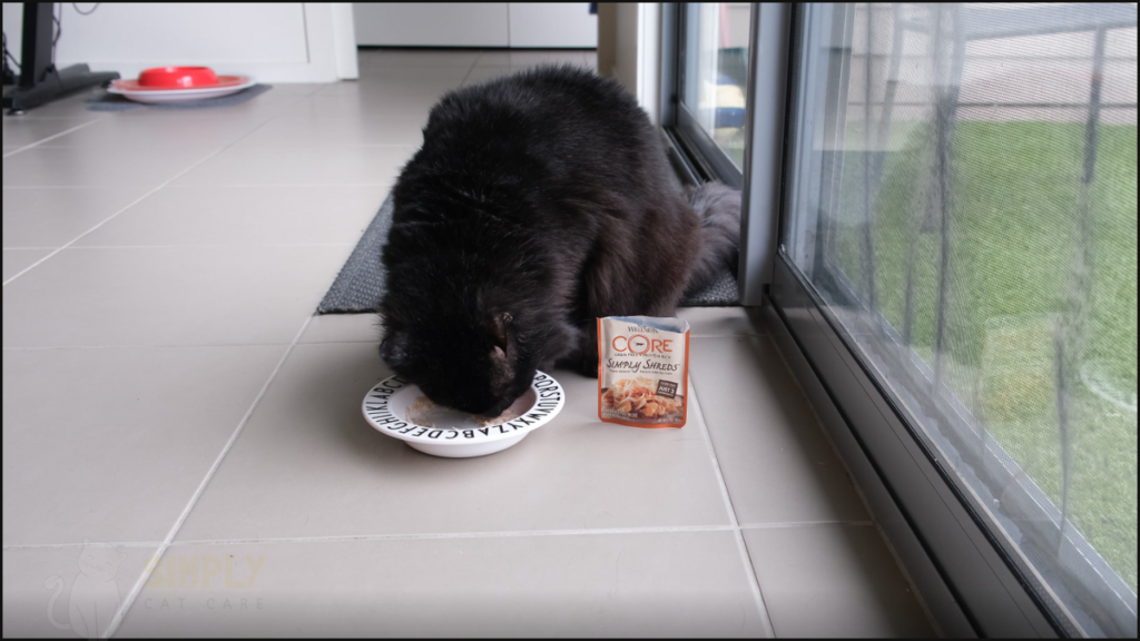Our cat Karl tries Wellness Core Simply Shreds
