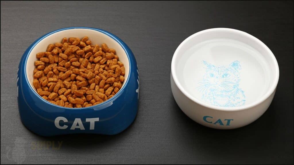 A cat food and water bowl