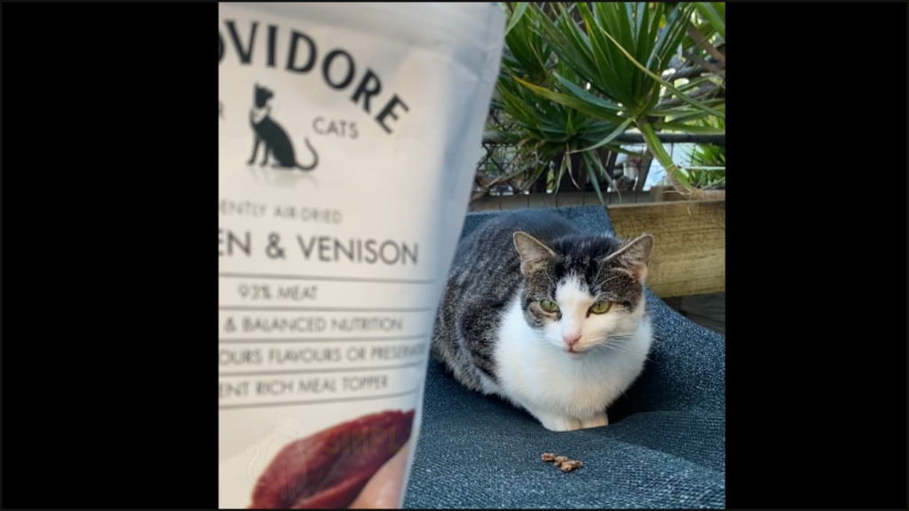 Testing Providore cat food with our cat