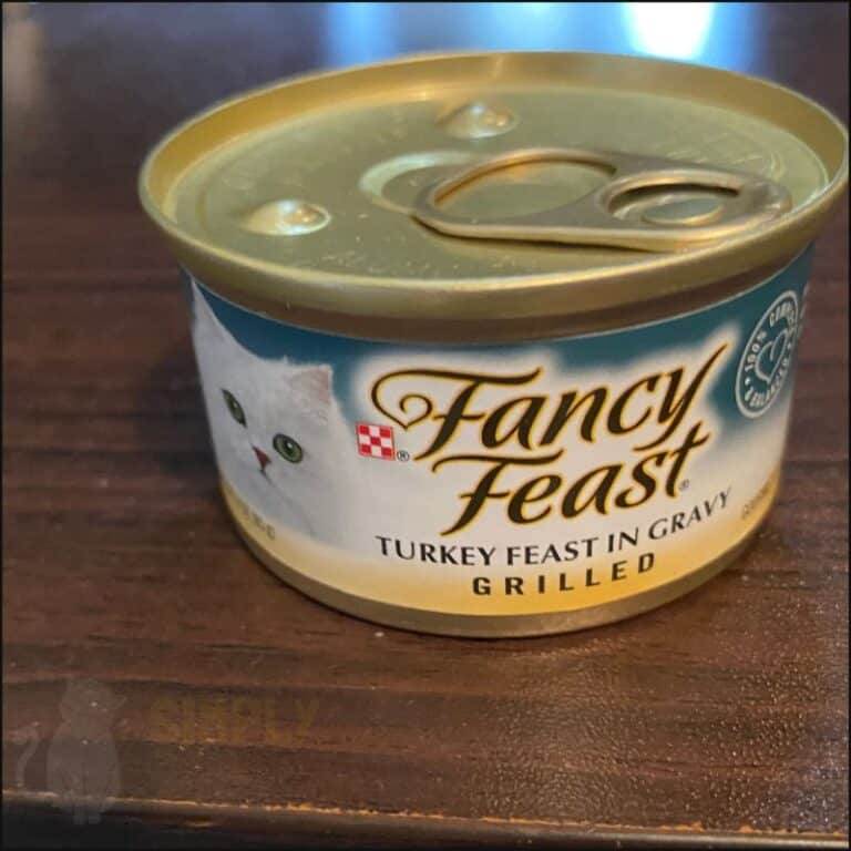 3 Best Cat Foods Without Carrageenan for Easy Digestion