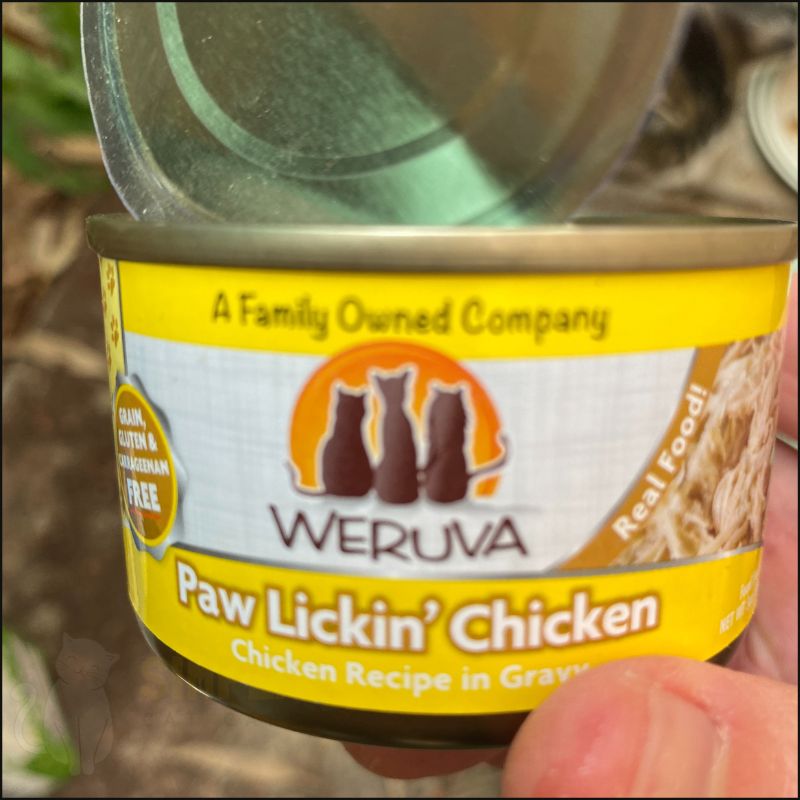 Weruva cat food close up