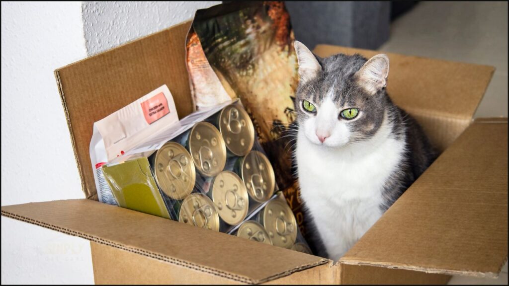A box of cat food
