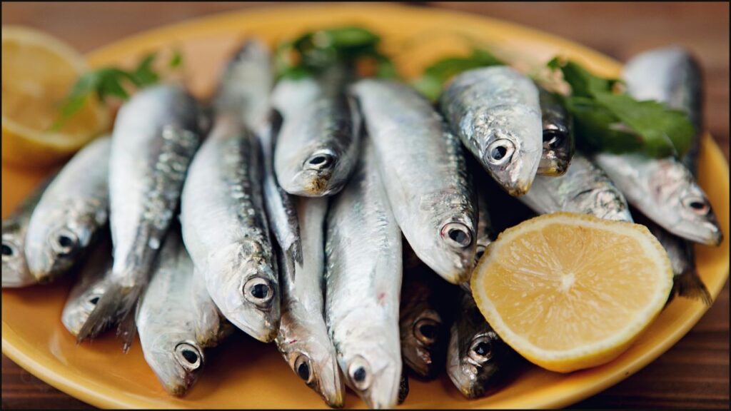 Sardines