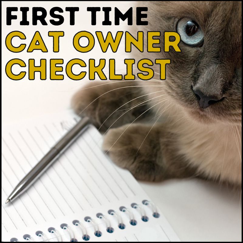 Best First Time Cat Owner Checklist: Ultimate Guide