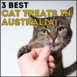 3 Best Cat Treats in Australia