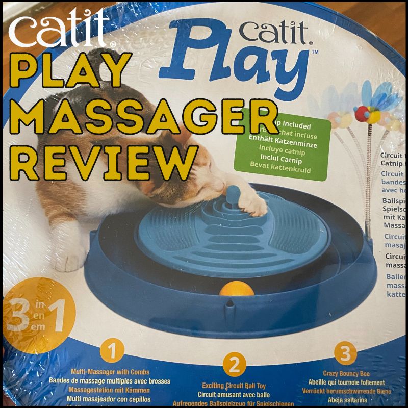 Honest Catit Play Massager Review