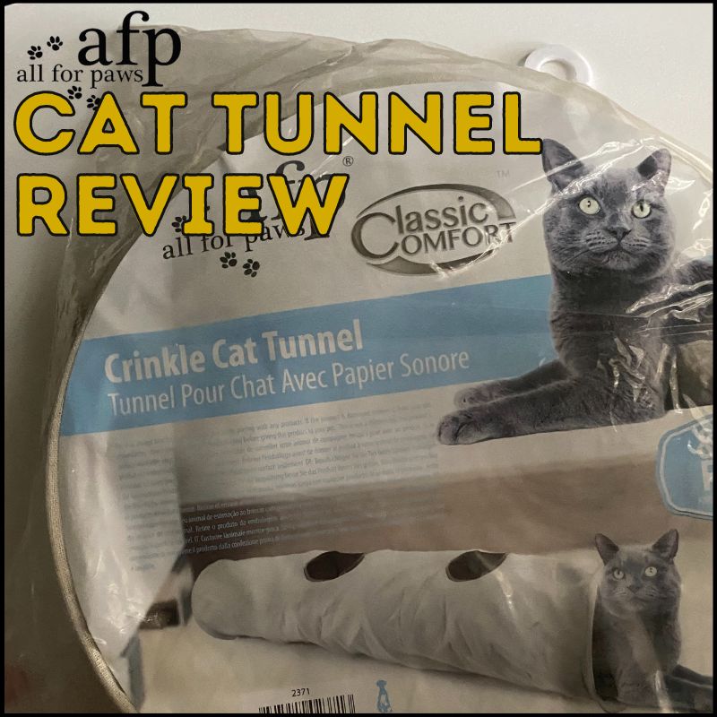 All For Paws Cat Tunnel Review
