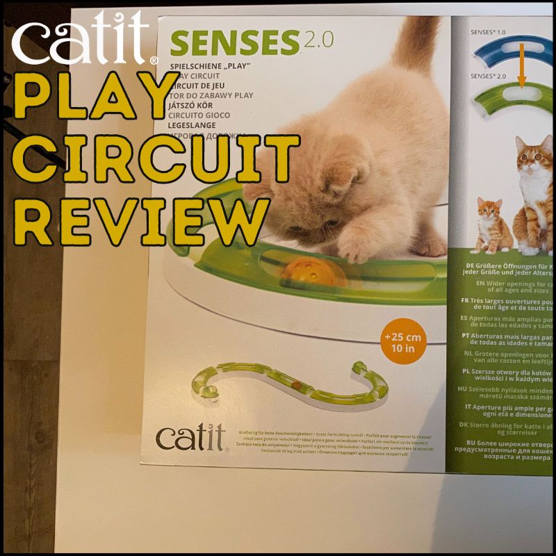 Honest Catit Play Circuit Review