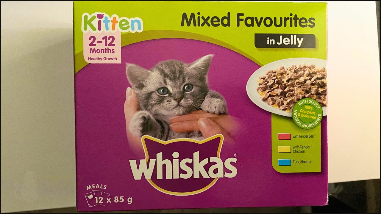 honest-whiskas-wet-cat-food-review-in-2024