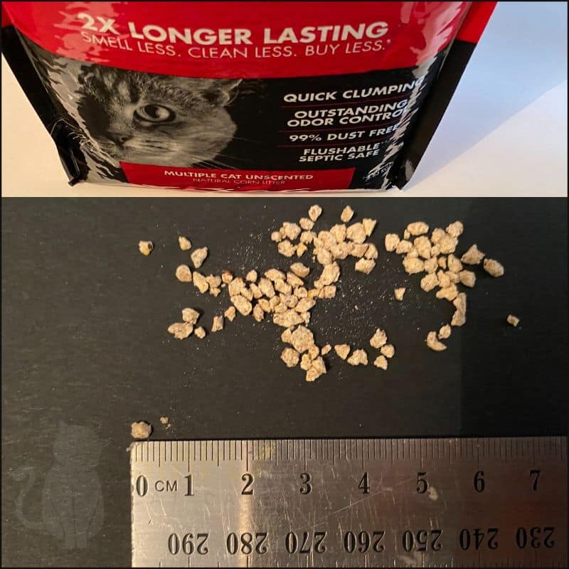 A picture showing the size of World's Best cat litter for multiple cats (C) Simply Cat Care