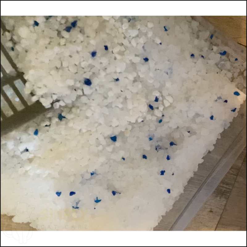 A picture showing the water absorption from Catsan crystal cat litter (C) Simply Cat Care