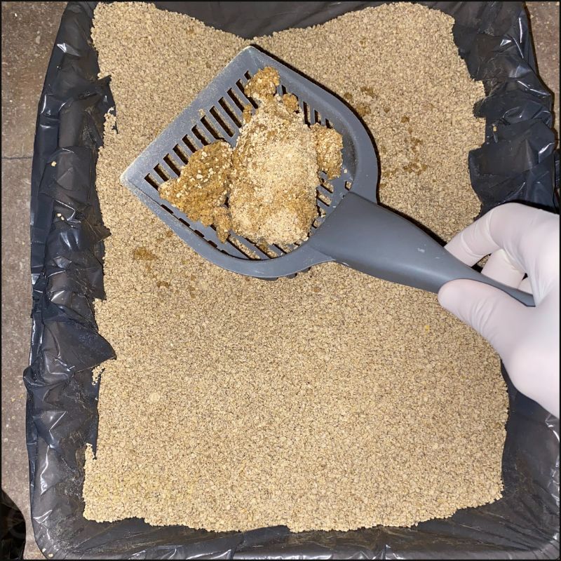 A picture showing clumps of World's Best multiple cat litter after our cats used it (C) Simply Cat Care