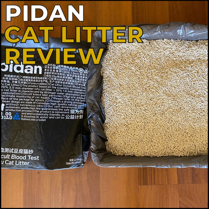 Pidan cat litter review