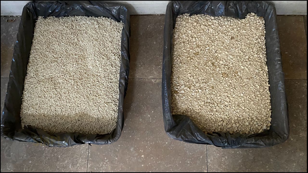 Pidan tofu cat litter side-by-side comparison with clay cat litter (C) Simply Cat Care
