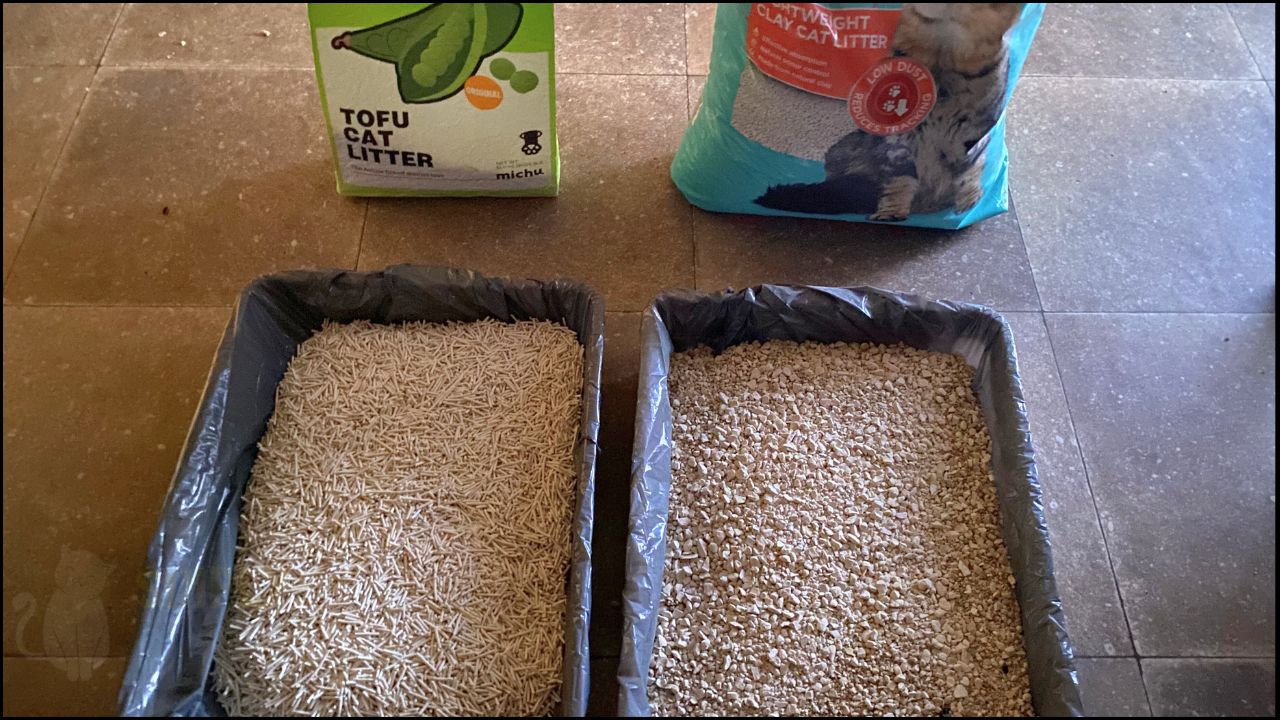 Michu original tofu cat litter side-by-side comparison with clay cat litter (C) Simply Cat Care