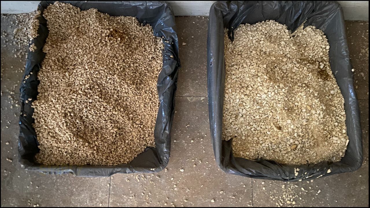 Litter trays of Cat's Best original cat litter and control (clay) after one night of usage with two kittens (C) Simply Cat Care