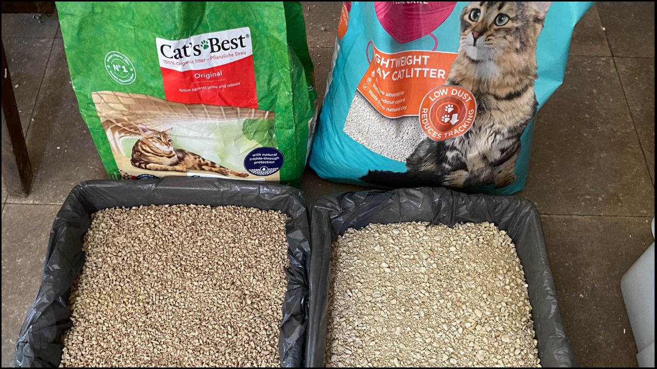 Cat's Best original cat litter side-by-side comparison with clay cat litter (C) Simply Cat Care