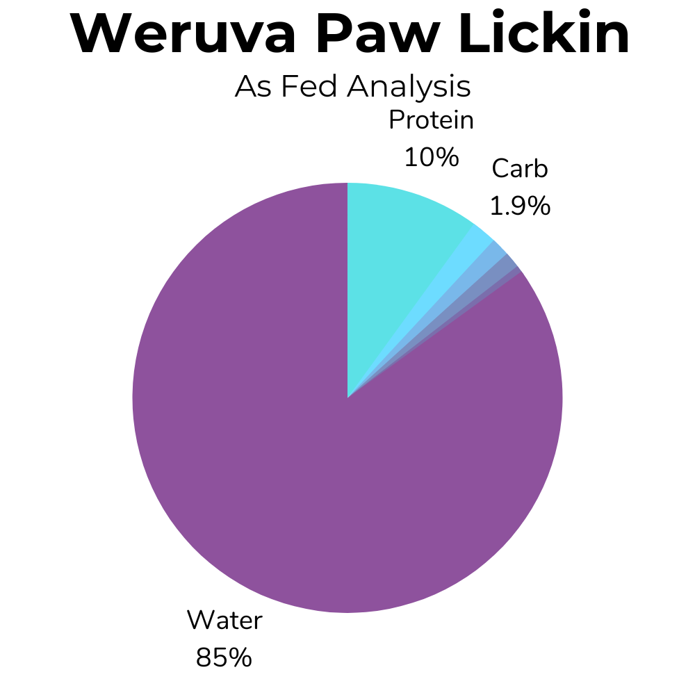 5 Best High Protein Cat Foods To Help Your Cat Gain Weight