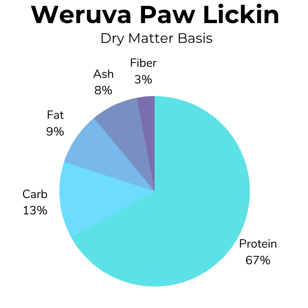 5 Best High Protein Cat Foods To Help Your Cat Gain Weight