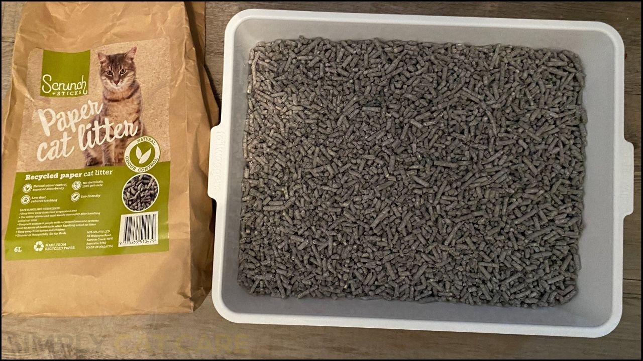 Scrunch and Sticks Cat Litter Review Simply Cat Care