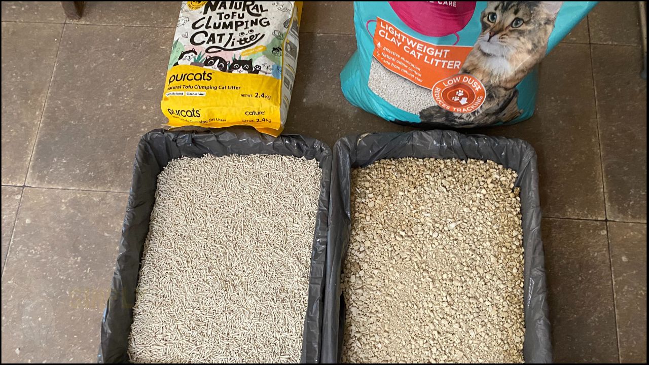 Cature tofu cat litter side-by-side comparison with clay cat litter (C) Simply Cat Care