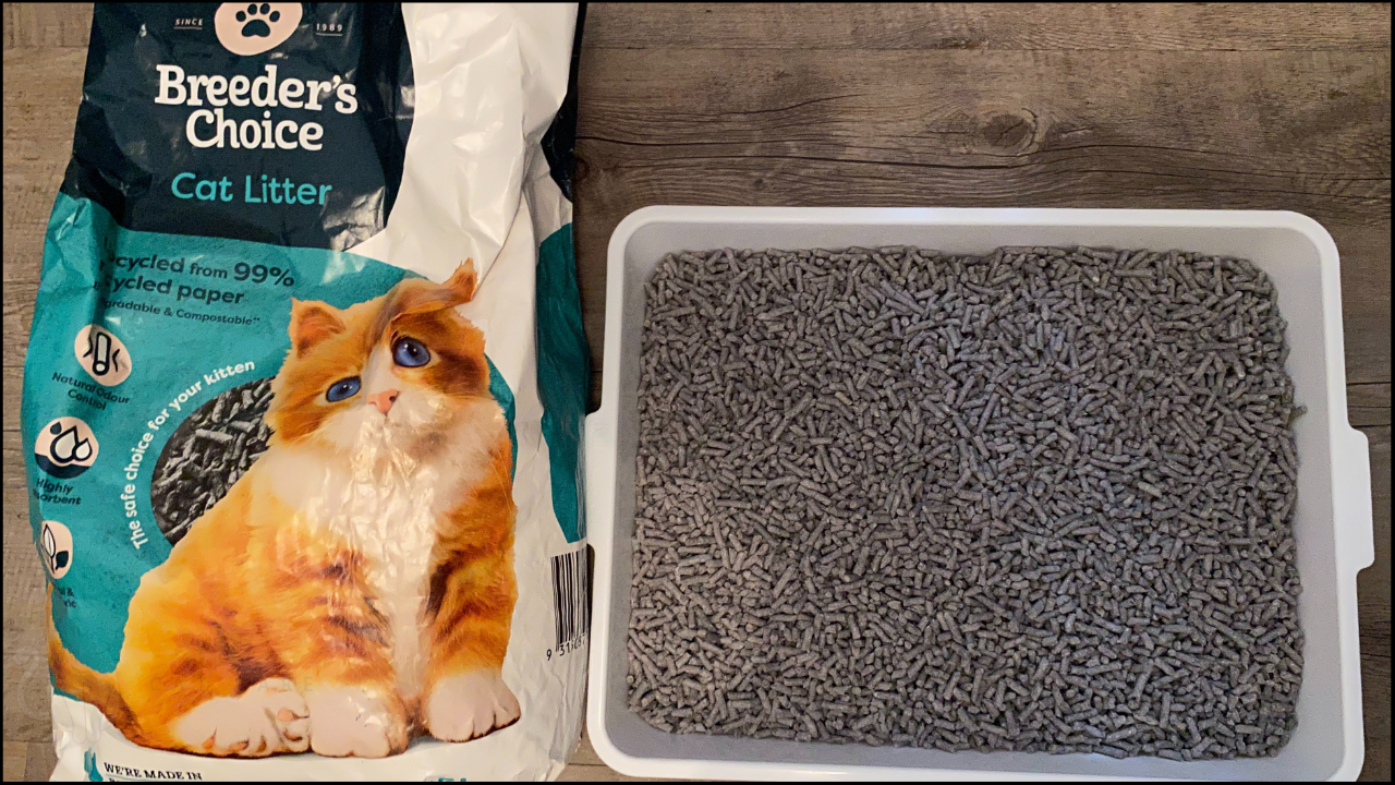 Honest Breeders Choice Cat Litter Review in 2024
