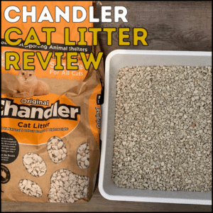 Chandler cat litter review