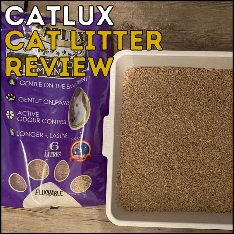 Catlux cat litter review