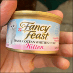 Fancy Feast Kitten