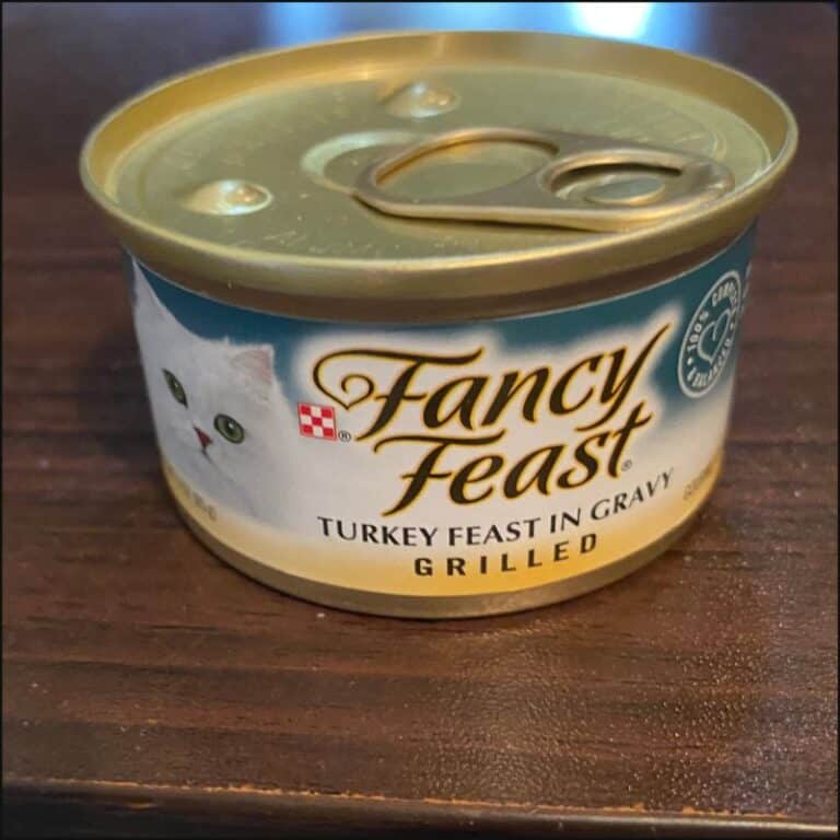 Best Cat Foods Without Carrageenan in 2024