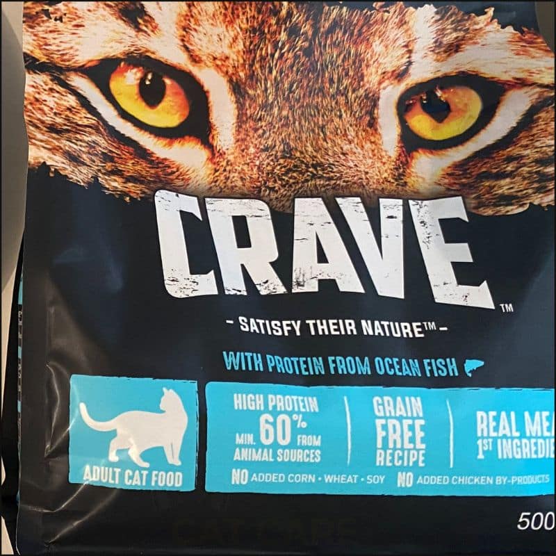 6 Best Wet Cat Food For Picky Eaters in 2023