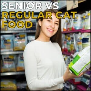 Senior Cat Food vs Regular Cat Food: What's the Difference?